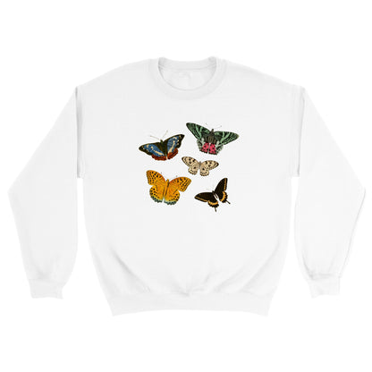 Butterflies Printed Sweatshirt