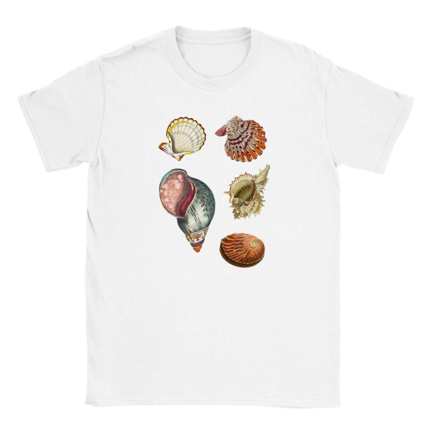 Shells Baby Tee