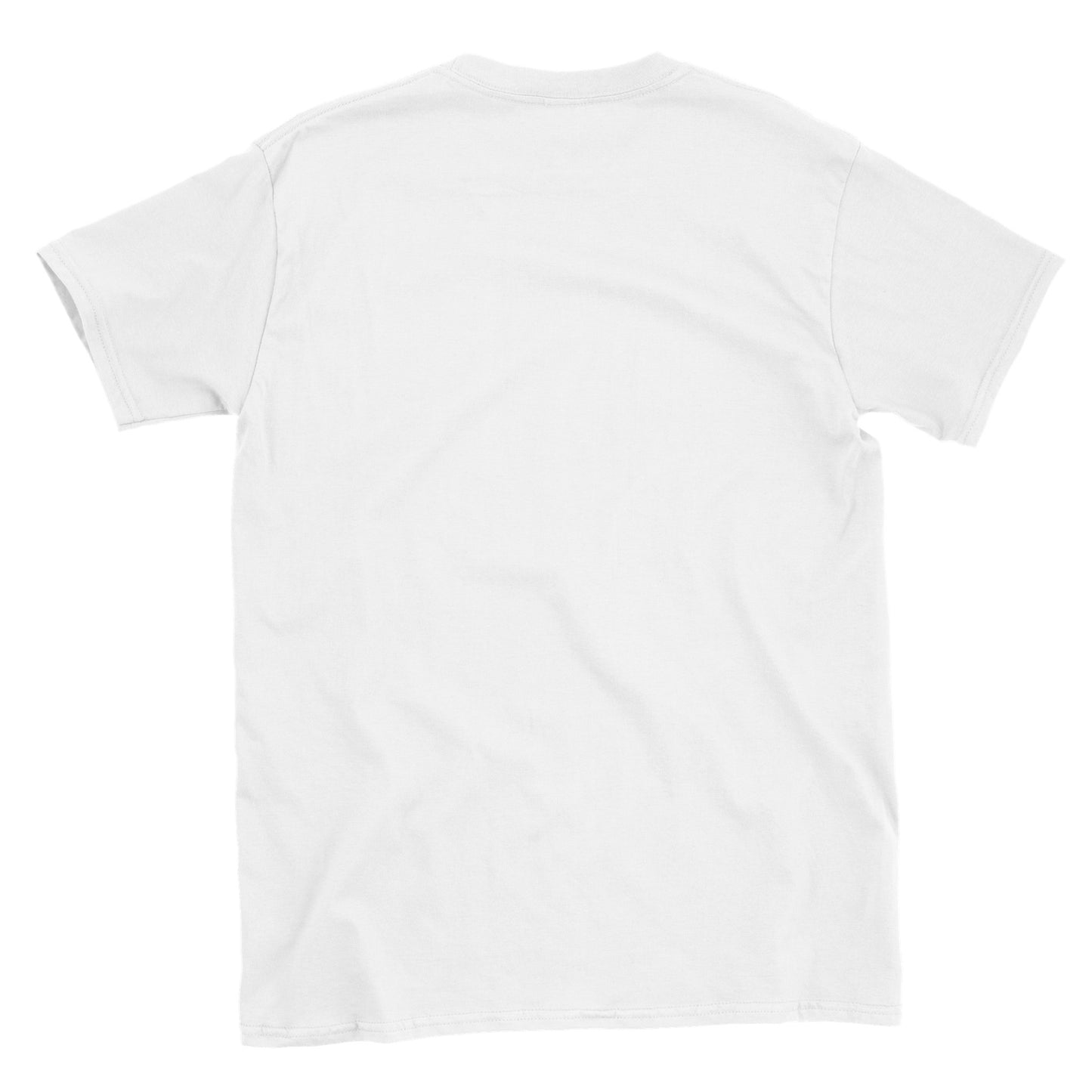 flat lay of a white crewneck t-shirt with short sleeves, the image is taken from above on a white background and shows the back view of the tee