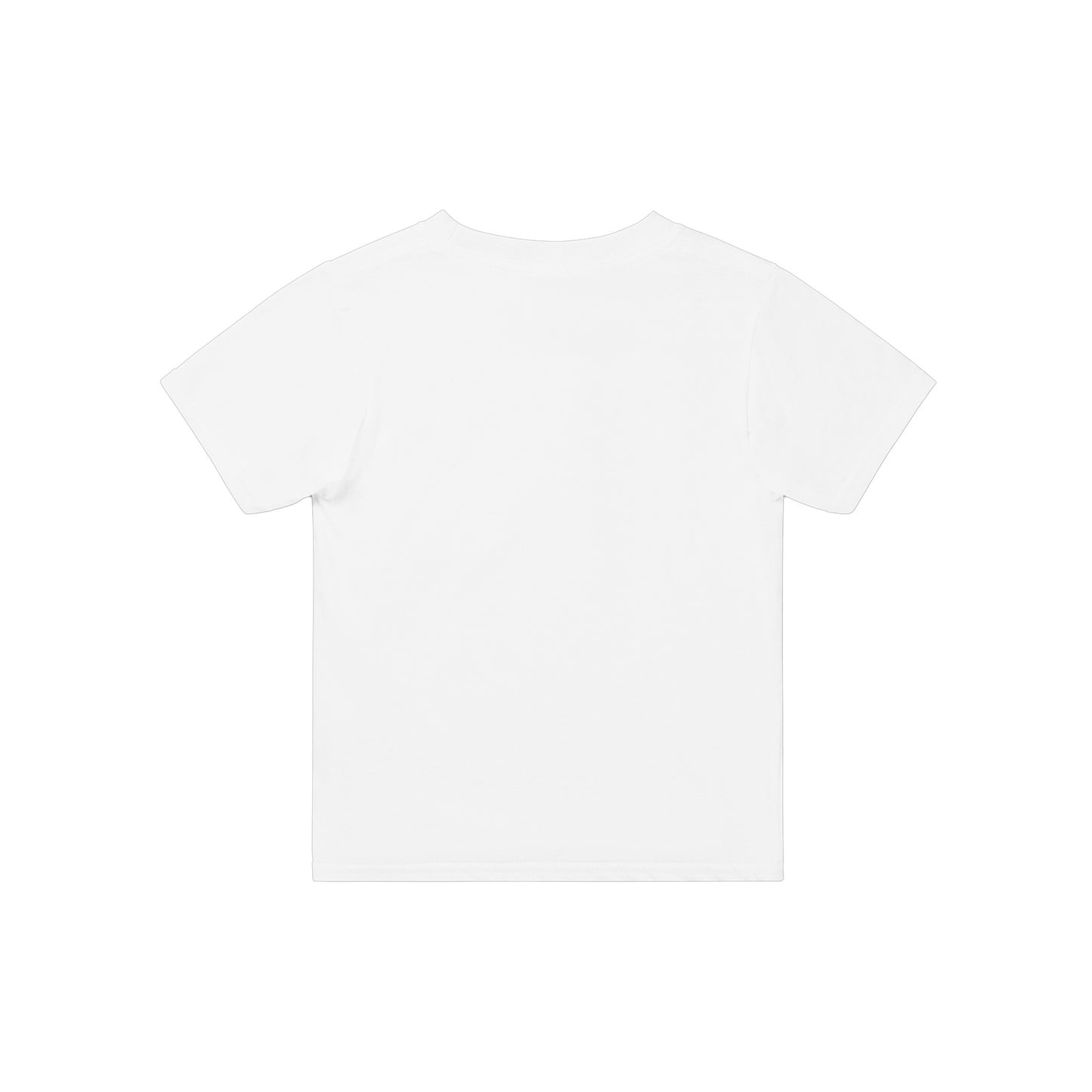 flat lay image of a black white t-shirt from the back