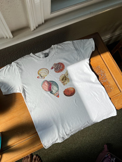 Shells Baby Tee